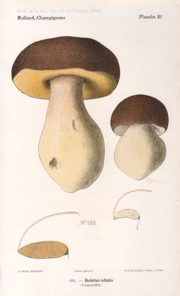 Item #4443 Champignon - Mushroom. Lassus after Aimé Bessin