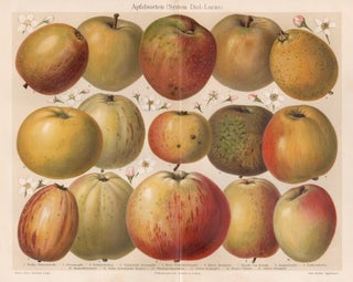 Apfelsorten (System Diel-Lucas) (Apples