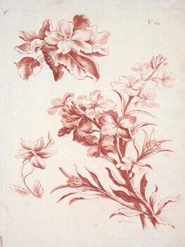 Item #452 Flowers printed in sanguine. Gabriel Smith
