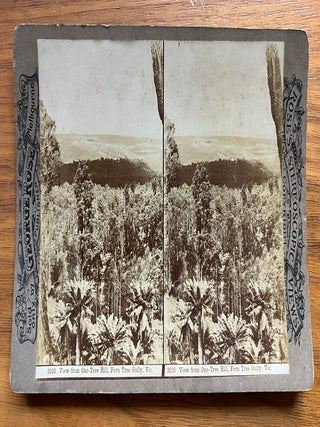 Item #4614 3525 View from One-Tree Hill, Fern Tree Gully, Vic. George Rose