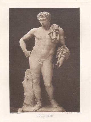 Item #4646 Farnese Hermes. Anon