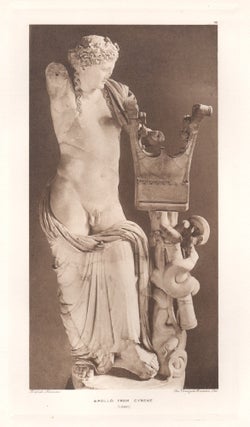 Item #4648 Apollo from Cyrene. Anon