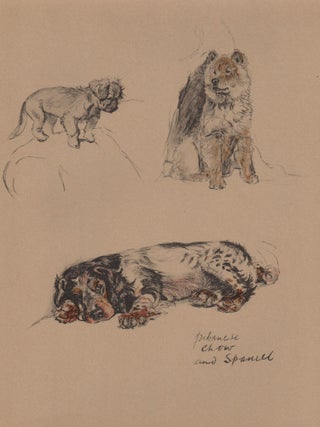 Item #4720 Pekingnese, Chow and Spaniel. After Cecil Aldin