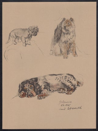 Pekingnese, Chow and Spaniel