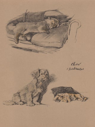 Item #4722 Chow and Pekingnese. After Cecil Aldin