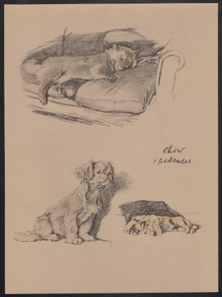Chow and Pekingnese