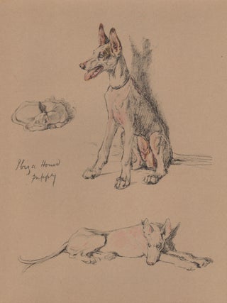 Item #4724 Ibiza Hound Puppy. After Cecil Aldin
