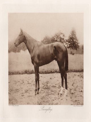 Item #5122 Llangibby. Allen, Co. after Clarence Hailey