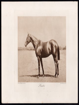 Leinster
