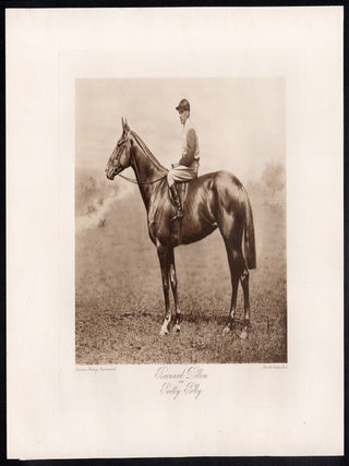Bernard Dillon on Pretty Polly