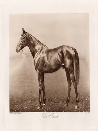 Item #5126 John O'Gaunt. Allen, Co. after Clarence Hailey