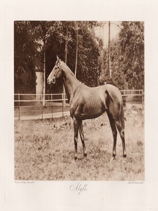 Item #5131 Alyth. Allen, Co. after Clarence Hailey