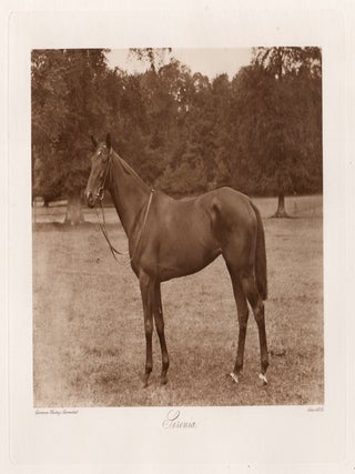 Item #5132 Sirenia. Allen, Co. after Clarence Hailey