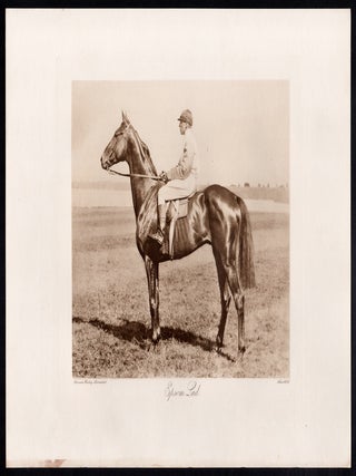 Epsom Lad