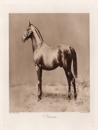 Item #5134 Soliman. Allen, Co. after Clarence Hailey