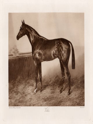 Item #5135 Veles. Allen, Co. after Clarence Hailey