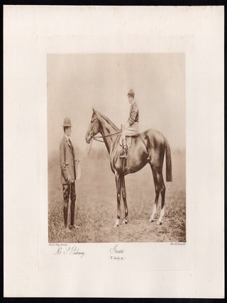 Imari (W Saxby up)