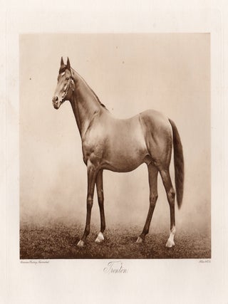 Item #5139 Trenton. Allen, Co. after Clarence Hailey
