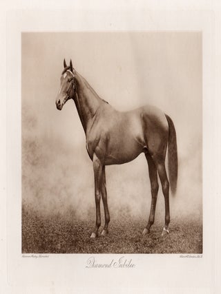Item #5142 Diamond Jubilee. Allen, Co. after Clarence Hailey