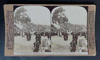 Item #5155 3167 Duke of York Celebrations, Hobart. The Duke at the Wood Chopping Match. George Rose