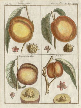 Item #526 Du Monceau - Peach varieties. H L. Duhamel Du Monceau, author