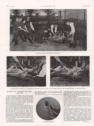Item #690 Comment on Arrache Une Dent a Un Lion. L'Illustration