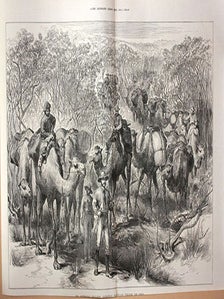 The Australian exploring expedition travelling through scrub. Jesse Young.